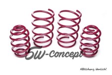 Vogtland Tieferlegungsfedern