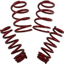 Triple S Sport Federn