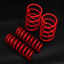 DIRENZA TIEFERLEGUNGSFEDERN