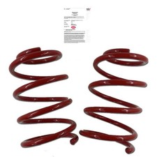 Triple S Sport Federn